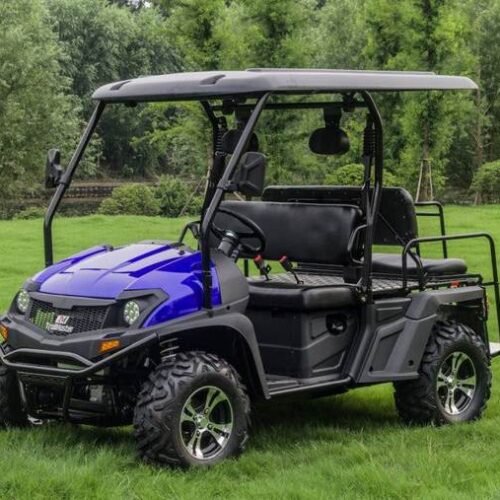 TrailMaster Taurus 450GX Gas Golf Cart, 26hp EFI Engine, 2x4/4x4 H/L Gear with Locking Differential for sale