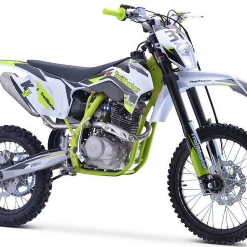 TrailMaster TM31 250cc Dirt Bike 5-Speed Manual Dual Disc Brakes, Electric Start with Kick backup (19/16)