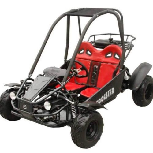 Twister 125cc Kids Gas Powered Go Kart, Electric Start, Automatic with Reverse, Ages 6 and up for sale