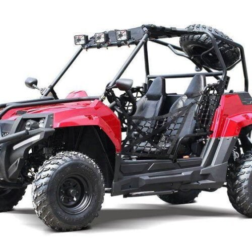 Victory 200 UTV Side-by-Side, Electric Start, Automatic with Reverse, Ages 16 and up for sale