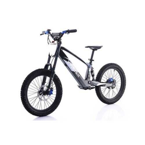 Voltaic Youth Electric Dirt Bike 20'' Flying Fox for sale